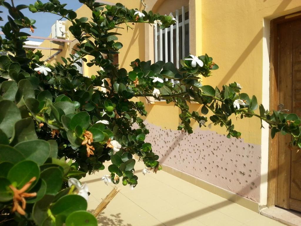 Darna Village Beach Hostel Al Burj 外观 照片