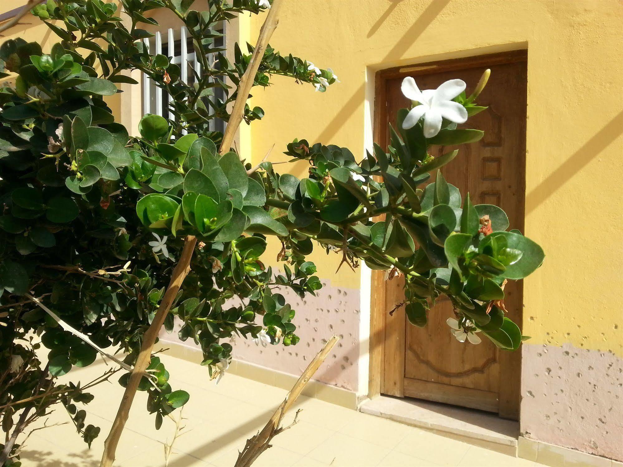 Darna Village Beach Hostel Al Burj 外观 照片