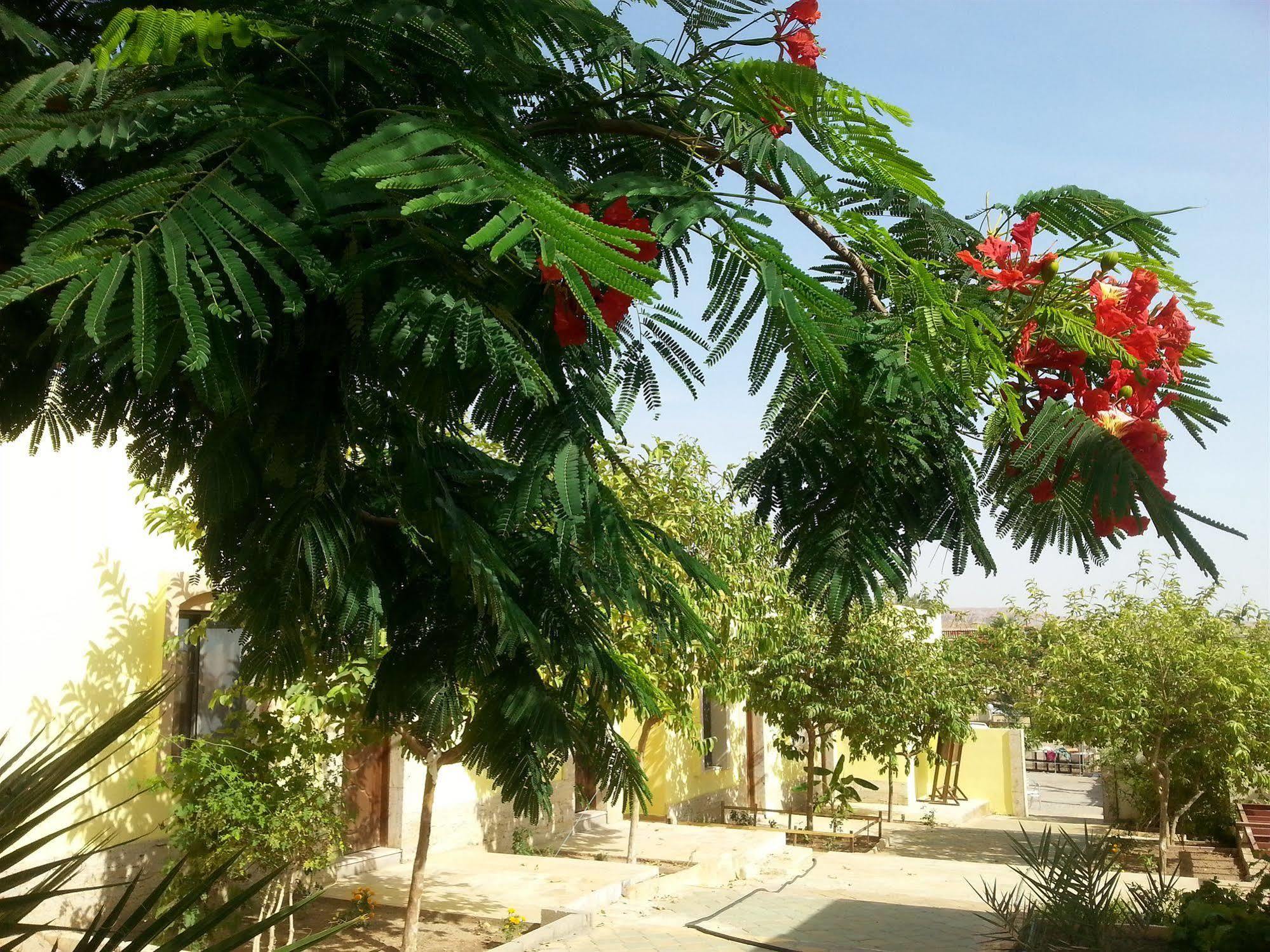 Darna Village Beach Hostel Al Burj 外观 照片